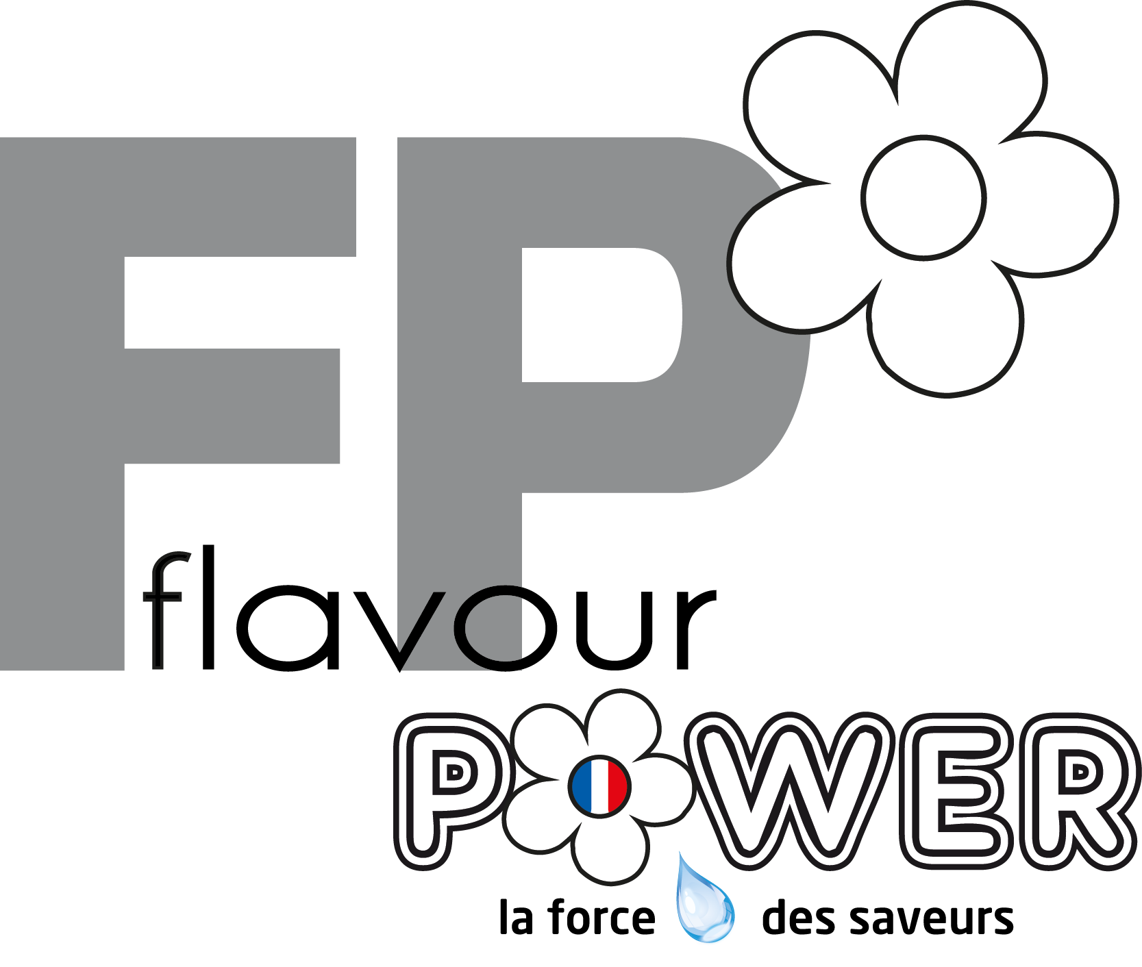 Logo Flavour Power