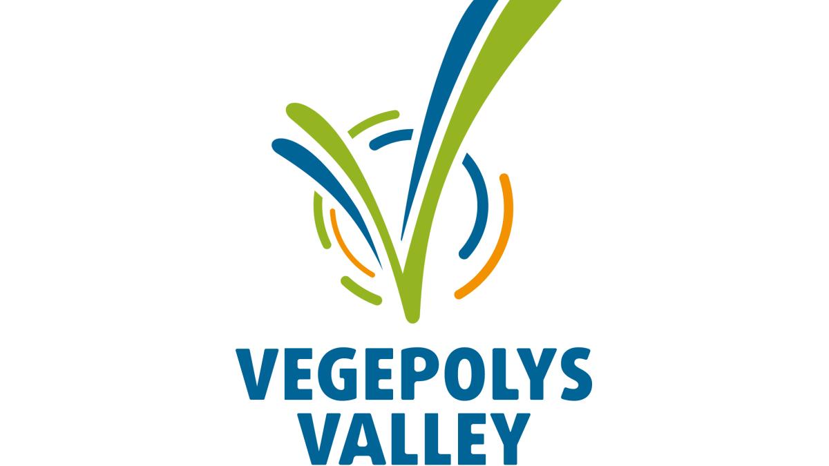 Logo Végépolys Valley